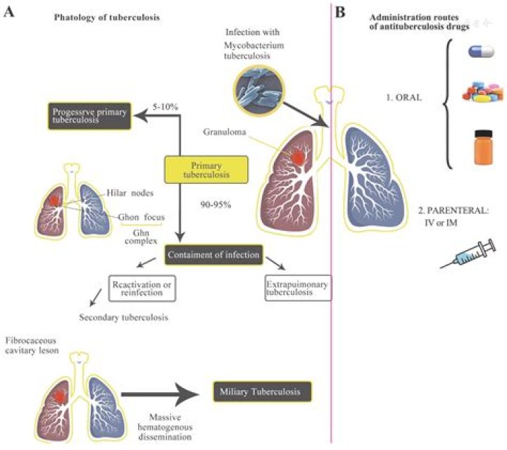 What are the second line drugs for TB?