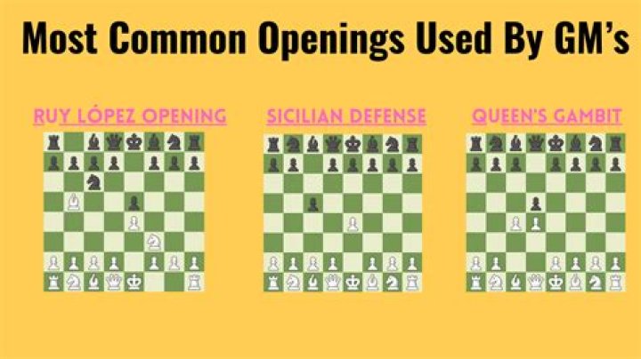 What chess openings do grandmasters use?