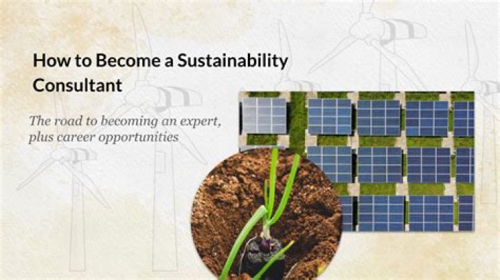 What does a sustainability consultant do?