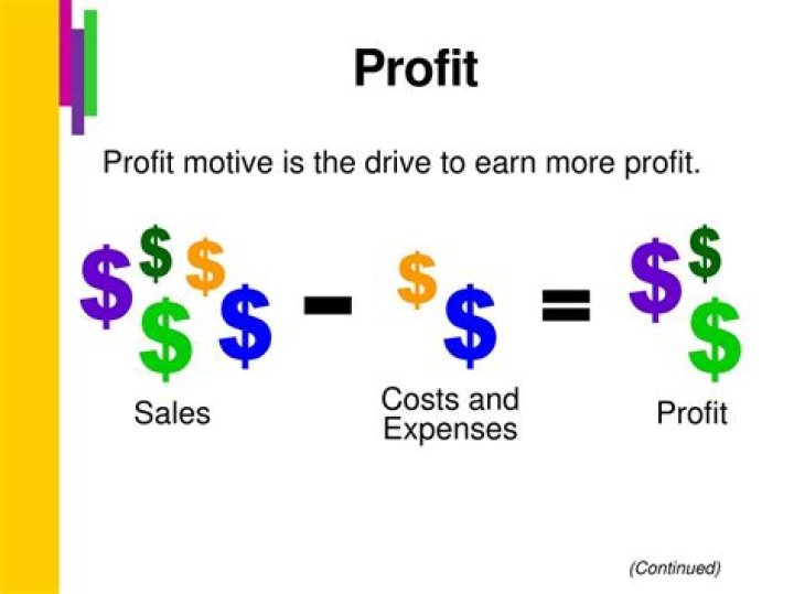 What does having a profit motive mean?