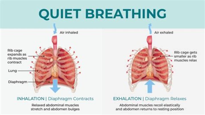 What does it mean if your breathing is loud?