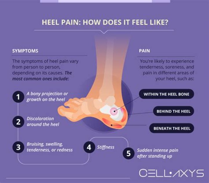 What does it mean when the back of your heels hurt?