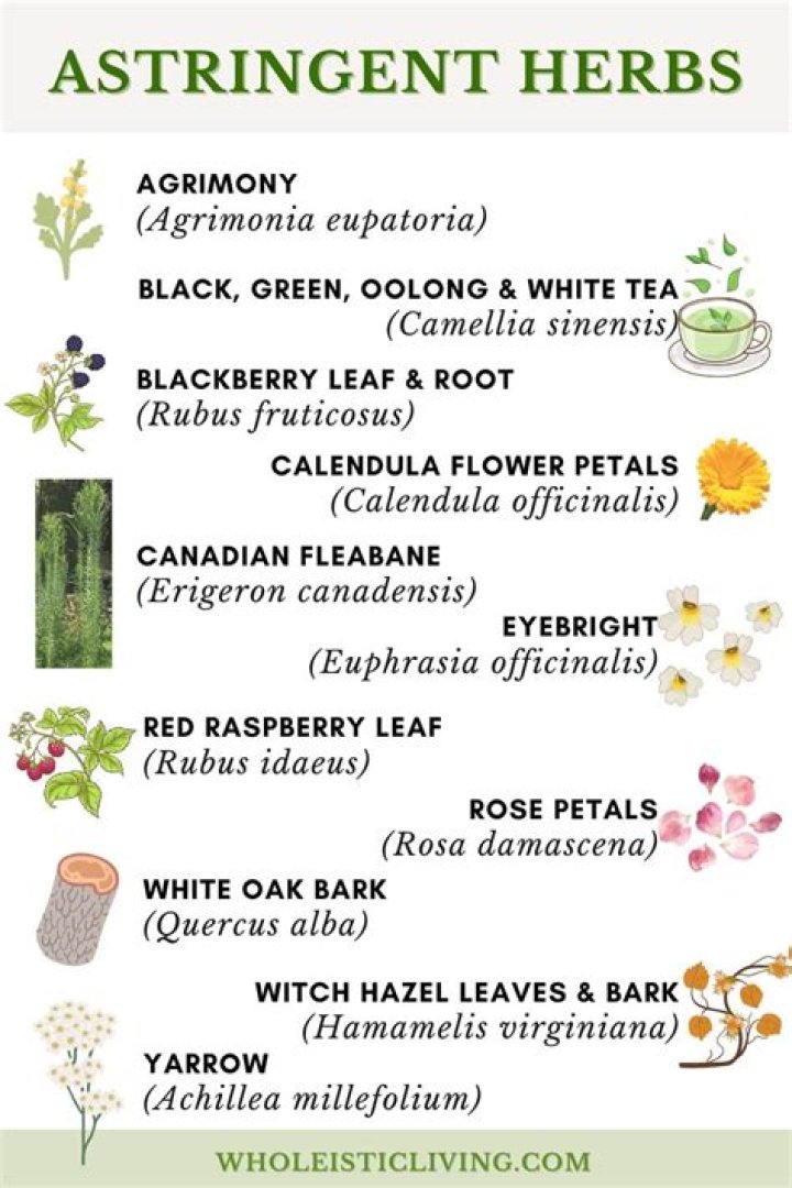 What foods contain astringents?