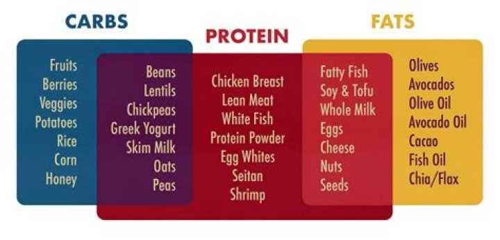 What foods have lots of protein and carbs?