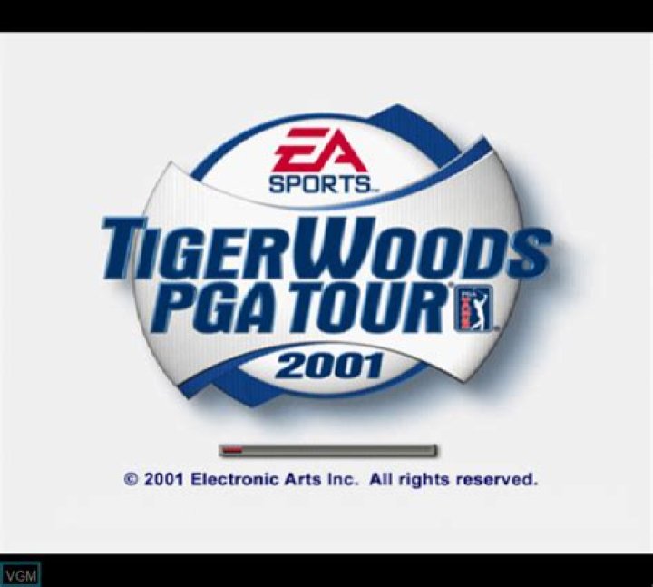 What happened to Tiger Woods PGA Tour games?