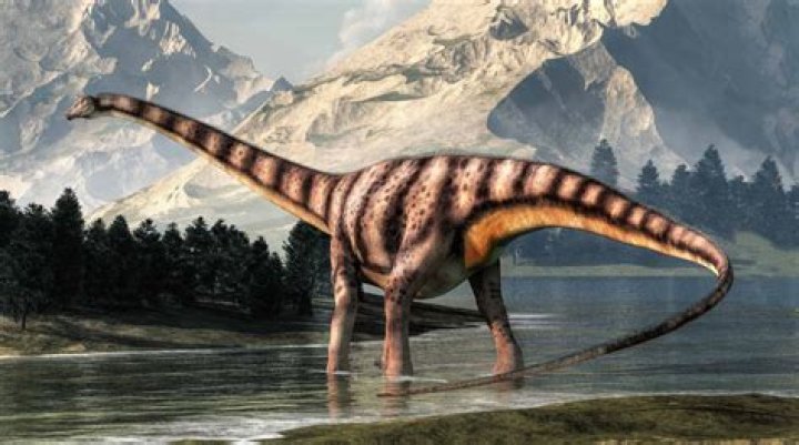 What is a Diplodocus known for?