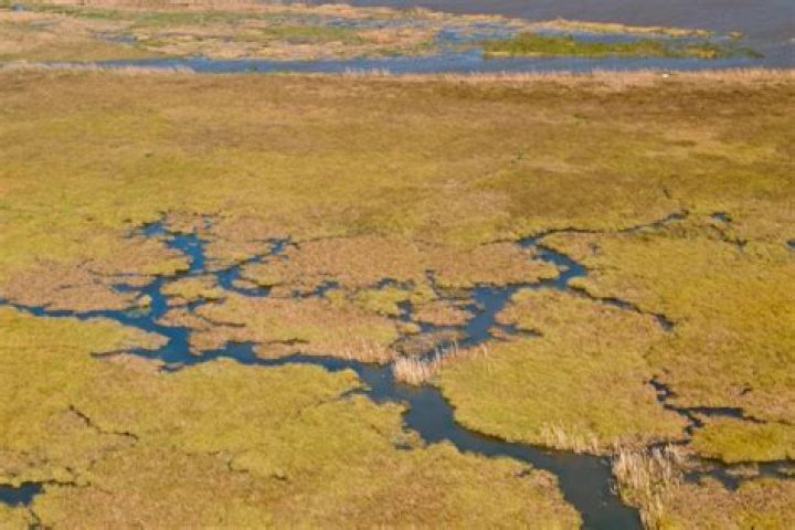 What is a river delta and how is it formed?