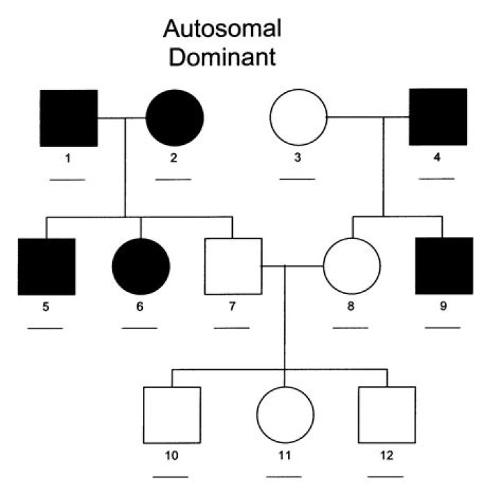 What is a single gene trait?