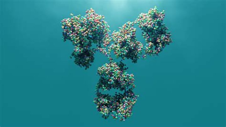 What is a Trispecific antibody?
