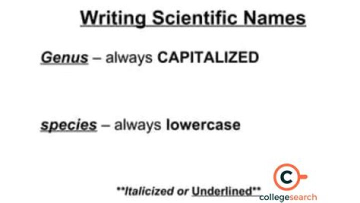 What is Aquificae scientific name?