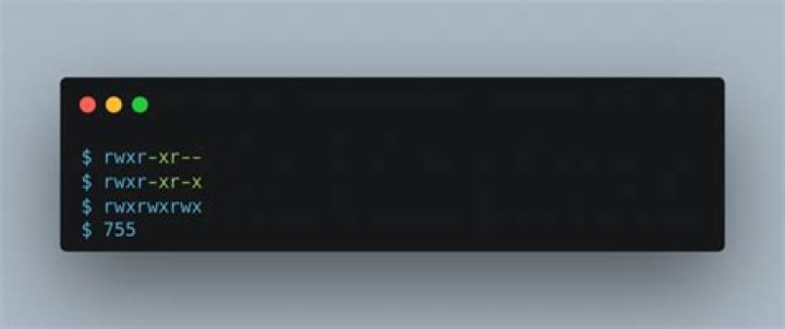 What is chmod RWXR XR X?