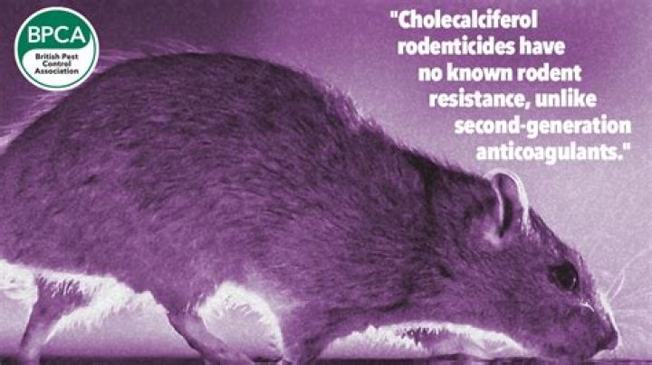 What is cholecalciferol rodenticide?