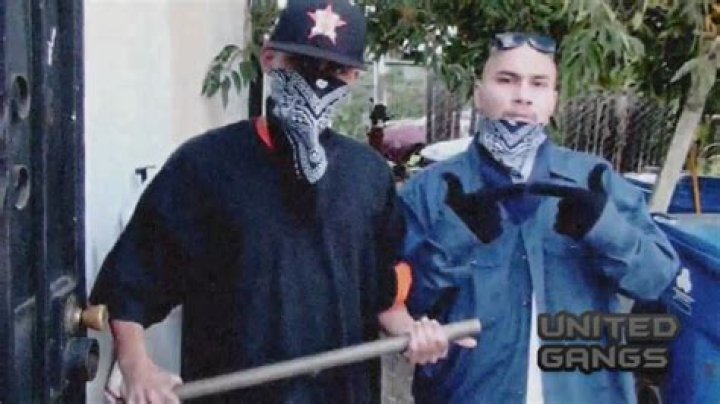 What is Harpys gang?