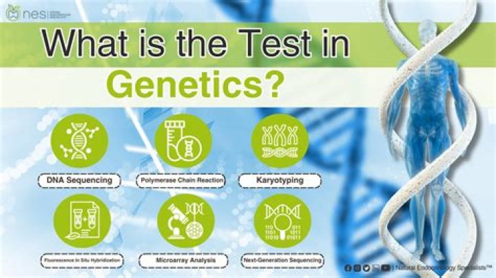 What is MODY genetic testing?