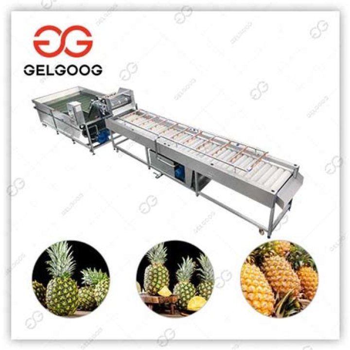 What is pineapple processing?