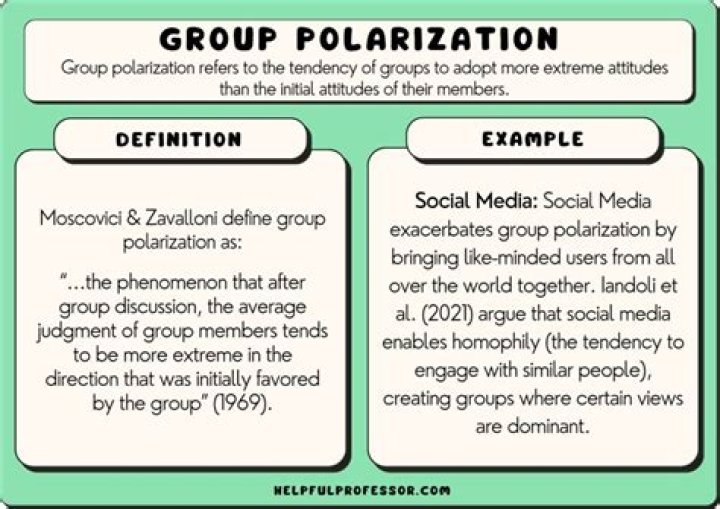 What is polarization in one sentence?