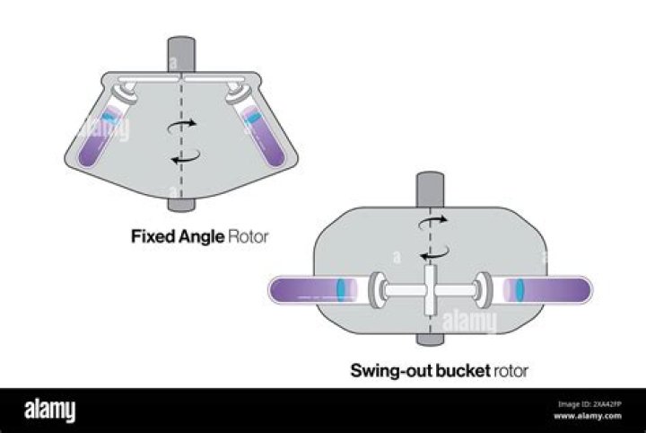 What is swing bucket rotor?