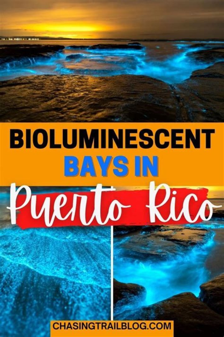 What is the best bio bay in Puerto Rico?