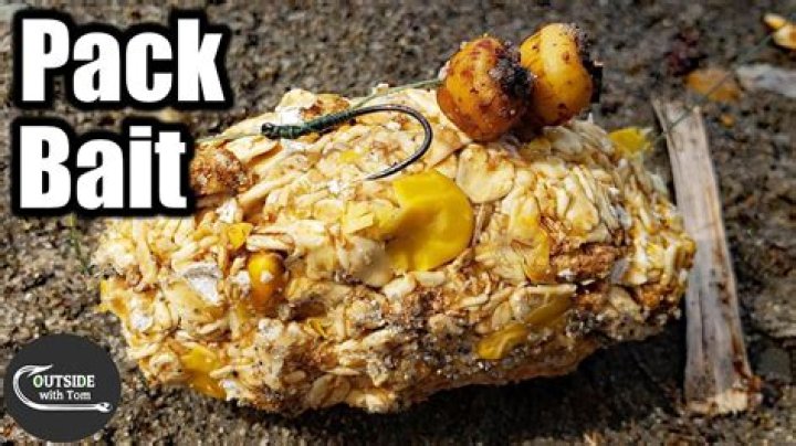 What is the best homemade bait for carp?