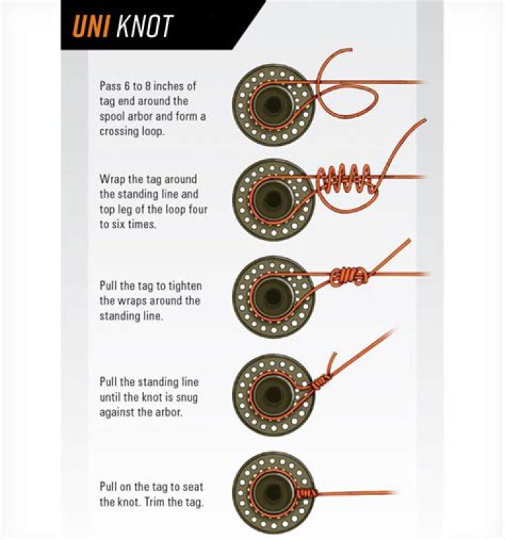 What is the best knot to tie?
