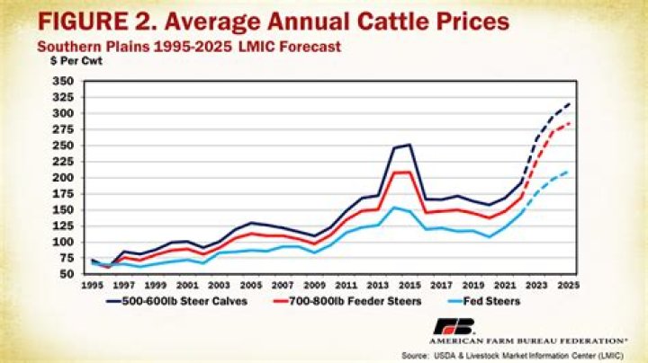 What is the current price for steel?