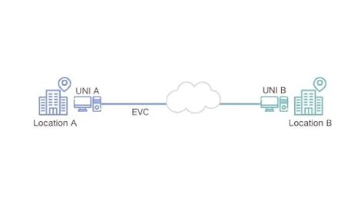 What is the difference between Evpl and EPL?