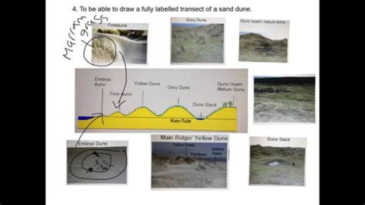What is the formation of a sand dune?