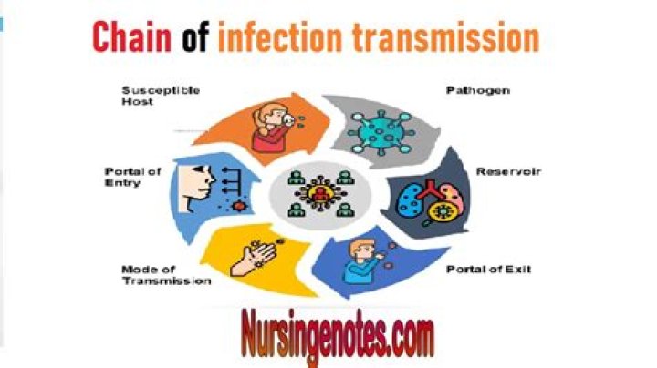 What is the mode of transmission of picornavirus?