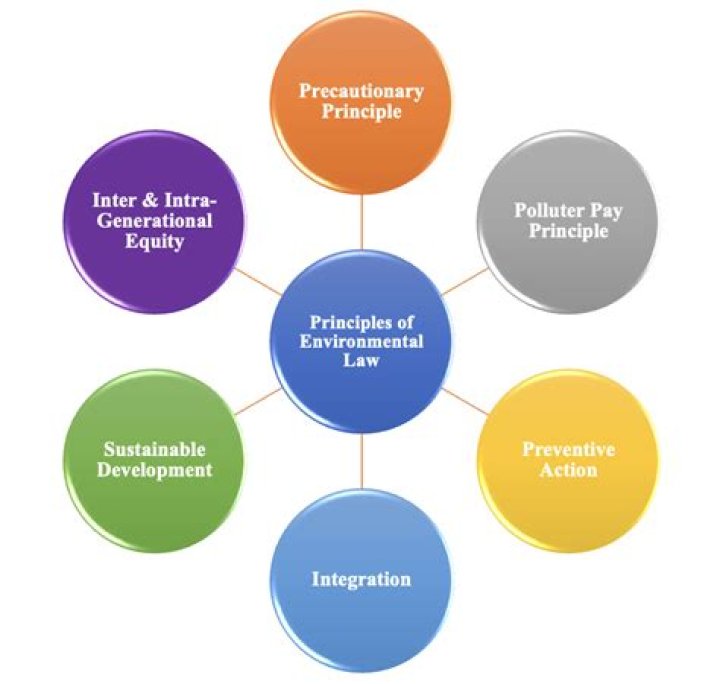 What is the principle of intergenerational responsibility in environmental law?