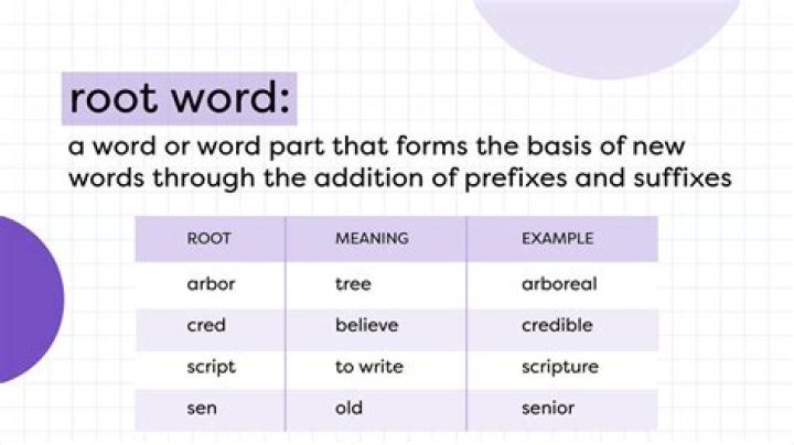 What is the root of star?