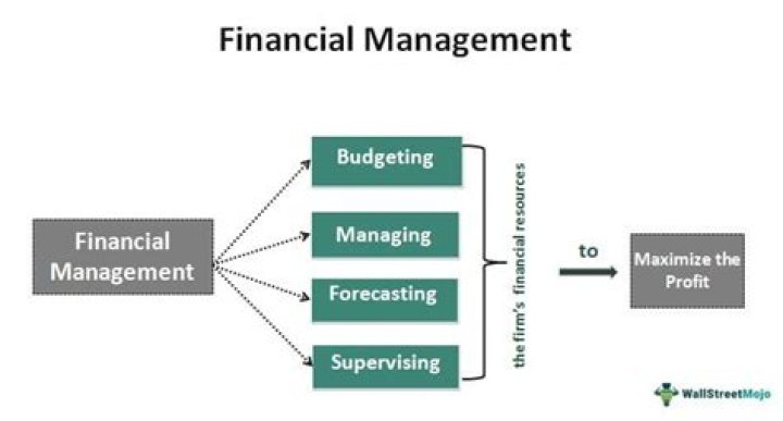 What is the scope of public financial management?