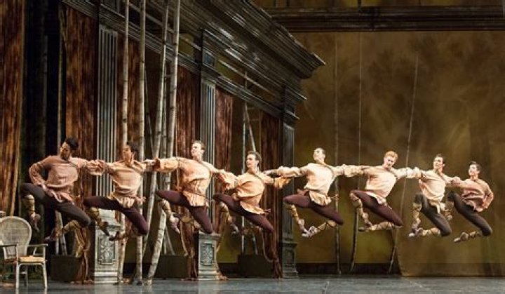 What is the story of Onegin Ballet?