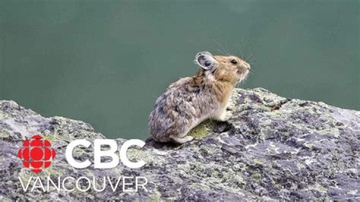 What makes UBC Okanagan unique?