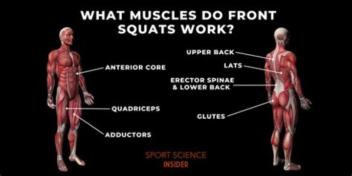 What muscles do squat walks work?