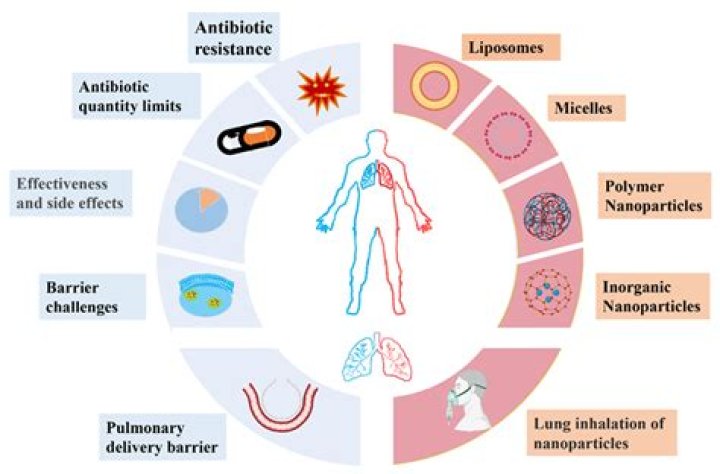 What prophylactic treatments should be used at this time to prevent the development of opportunistic diseases?