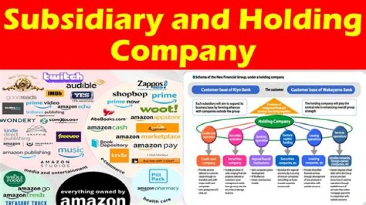 What type of company is Avaya?