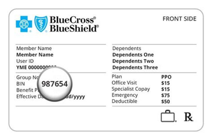 What type of insurance is blue options?