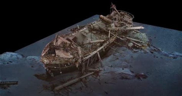 When did the Tang shipwreck sink?