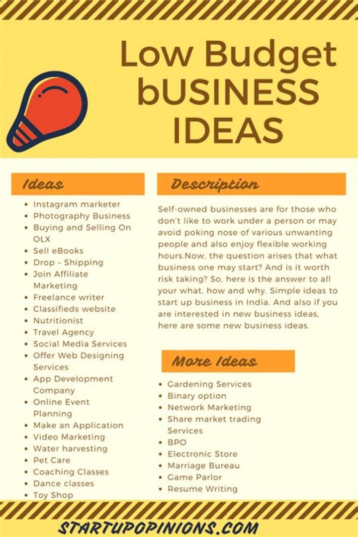 Which business is best in low budget?