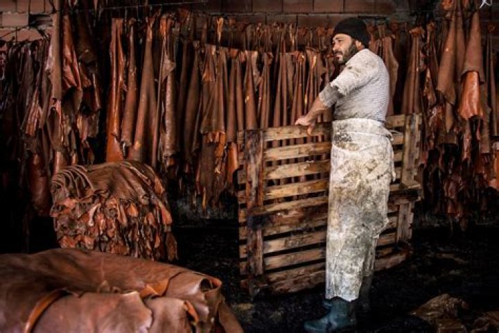 Which company leather is best?