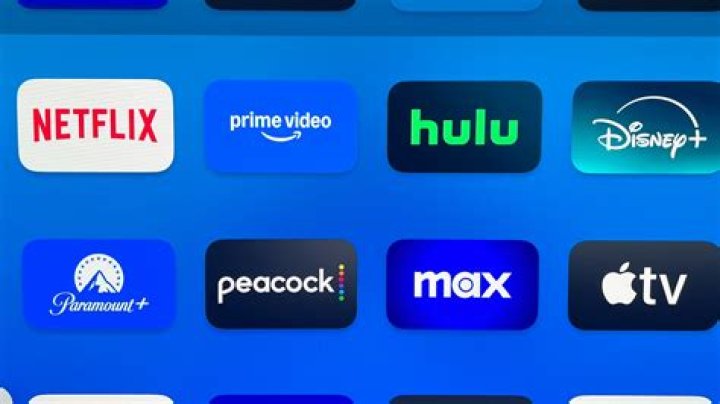 Which streaming service has Totoro?