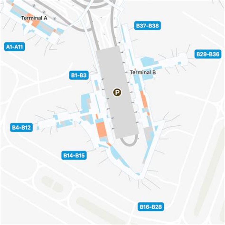 Which terminal is United Airlines at Frankfurt?