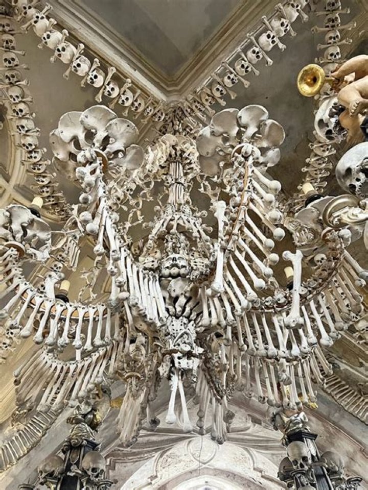 Who is sedlec ossuary bones?