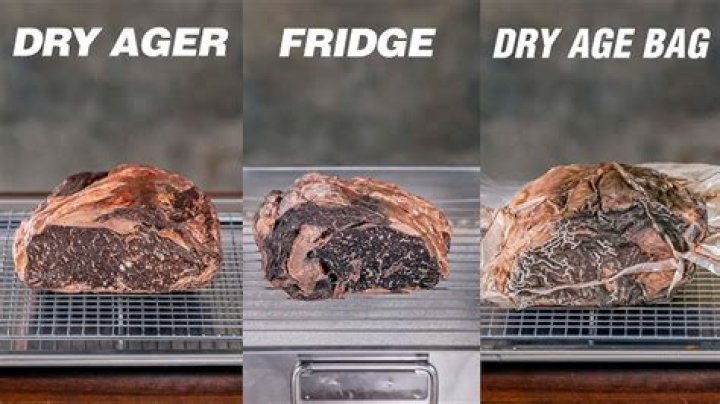 Why are dry aging bags so expensive?