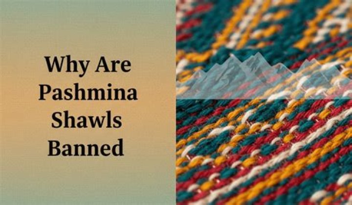 Why are Pashmina shawls banned?
