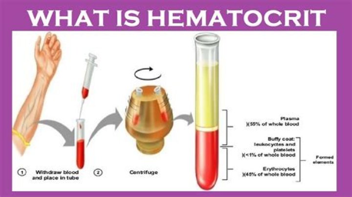 Why is hematocrit low in kidney failure?