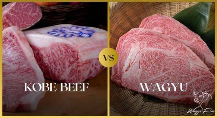 Why is Kobe beef illegal in America?